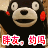 熊本熊 可爱 搞笑 笑死人