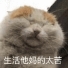 高糊 小表情 高糊表情 可爱表情
