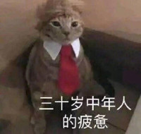 萌宠 喵星人 三十岁中年人的疲惫 年纪大了 憨憨 搞怪