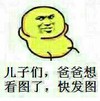 儿子们 爸爸想看图了 斗图 黄人