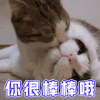 萌宠 猫咪 猫 赞 那很棒棒哦