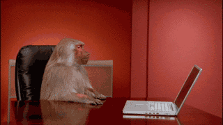 猴子 玩电脑 可爱 萌