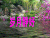 容易