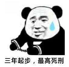熊猫头 恶搞 雷人 搞笑 斗图 三年起步,最高死刑