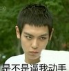 动手 搞笑 斗图 滑稽