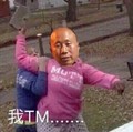 我tm 搞笑 斗图 滑稽 高飞