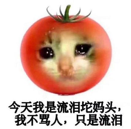 水果 蔬菜 喵星人 可爱 搞笑