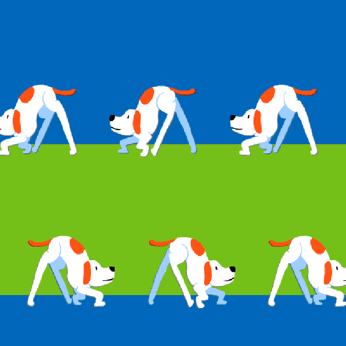 草坪 狗狗 排队 舞蹈