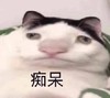 萌宠 猫星人 痴呆 傻了 呆萌 可爱