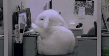 小白兔 犯困 搞笑 看电脑 困死兔宝宝了