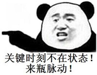 关键时刻不在状态 来瓶脉动 恶搞 熊猫