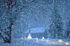 下雪 冬天 雪景 寒冬腊月 soogif soogif出品