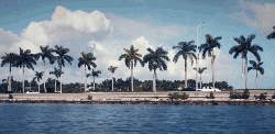 南美 椰子树 海 白云 纪录片 蓝天 贝克汉姆 车 风景