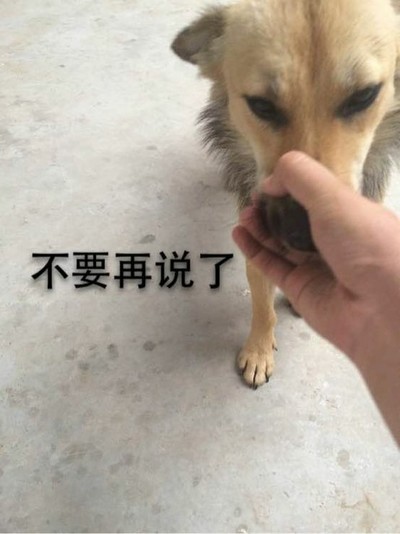 狗狗 捏嘴 萌萌哒 不要再说话了