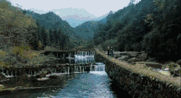 四川 宅人食堂 山 川西小时光 树 流水 纪录片 走 雅安 河堤