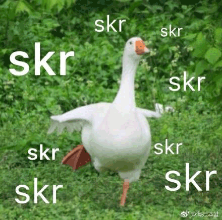 skr 熱skr人