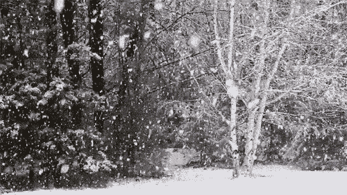 白雪公主 动画 白色  ,冬天,  冻结