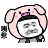 斗图 蘑菇头 猪头 咦惹