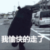 萌熊 可爱 背景 我愉快的走了