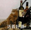 萌宠 猫星人 活着好累 难受 搞怪 逗