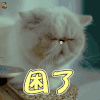 有猫在 困了 soogif soogif出品