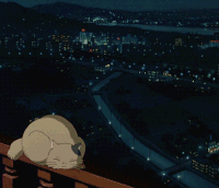 猫咪 夜晚 围栏 睡着