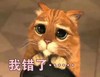 我错了 猫咪 大眼睛 把腿