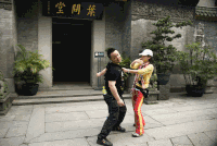 叶问堂 旅游景点 旅游者 功夫 恶搞