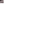 搞笑 逗比 真能吹 大象