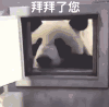 萌宠 熊猫 拜拜 再见 呆萌 可爱