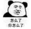 熊猫头 暴漫 怎么了你怎么了 搞笑 文字表情包 逗