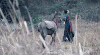 老九门 张启山 二月红 陈伟霆 张艺兴