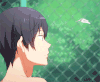男子水泳部 Free! 帅气 迷人 七濑遥