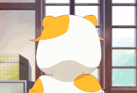 萌娃 转身 扮猫 动漫