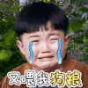 可爱 大哭 萌呆 又喂我的狗粮