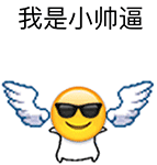 emoj天使 蹦跶 翅膀 我是小帅逼