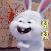 兔子 蟹蟹 soogif soogif出品