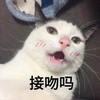 萌宠 猫星人 接吻吗 害羞 呆萌 可爱