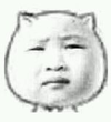 猥琐猫 纠结 恶搞  无语