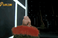 何洁 快女 歌手 综艺