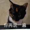 暴漫 猫星人 你再说一遍 生气 搞怪 逗