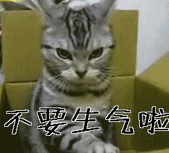 不要生气啦gif内疚gif不要生气gif