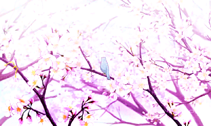 蝴蝶 花树 飞舞 阳光