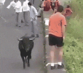 小牛 犄角 掉下去 马路