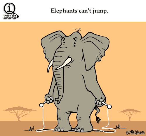 小象 跳绳 搞笑 可爱