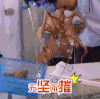 王迅 无坚不摧 眼镜 水