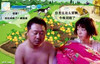 农场搞笑偷菜 搞笑 可笑 你怎么这么笨今晚别睡了