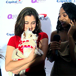 美女 狗狗 气质 笑容