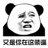 暴漫 熊猫人 又是你在这装逼 装逼 斗图