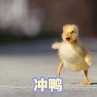小黄鸭 萌宠 可爱 逗 文字表情包
